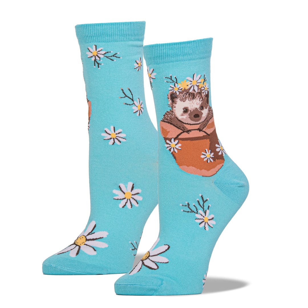 My Dear Hedgehog Women’s Crew Sock