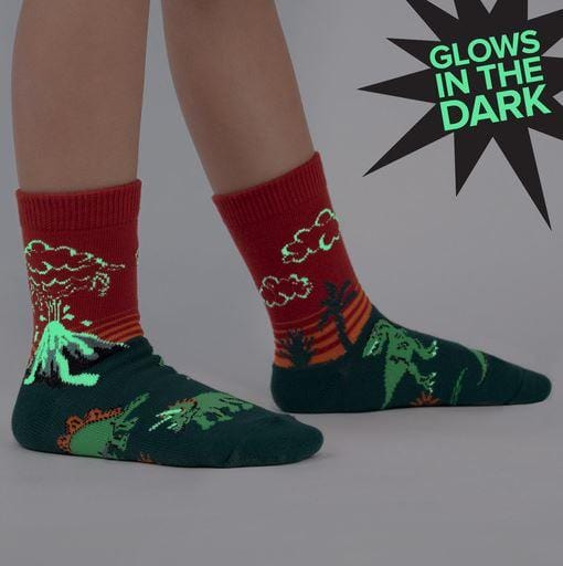 Dinosaur Days Youth Crew Socks