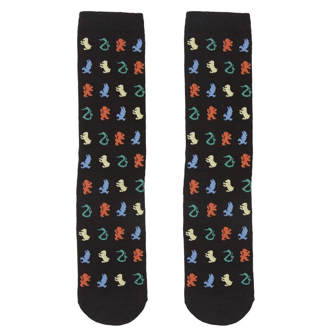 Harry Potter Hogwarts House Socks Unisex Crew Sock