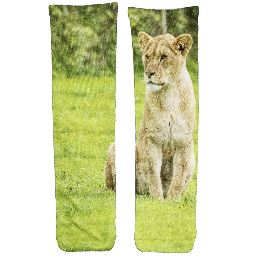 Lioness Socks Unisex Crew Socks